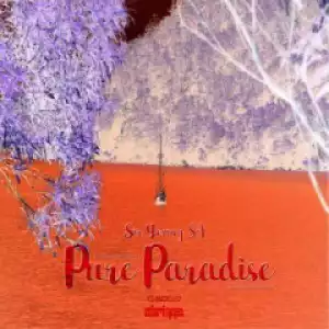 Sir Young SA - Pure Paradise (Original Mix)